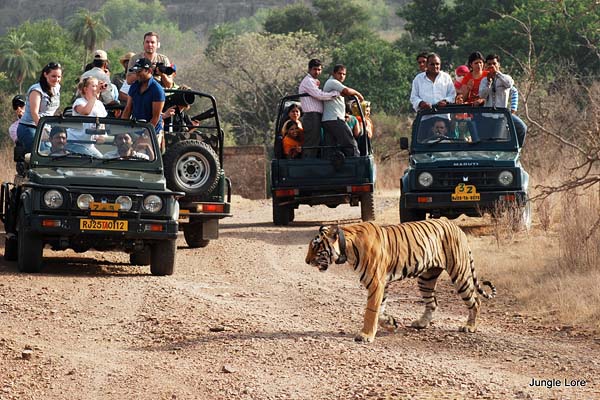 Jim Corbett with Nainital Tour